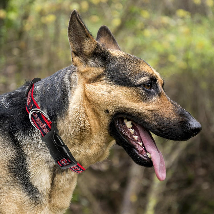Cleveland Guardians Dog Collar or Leash