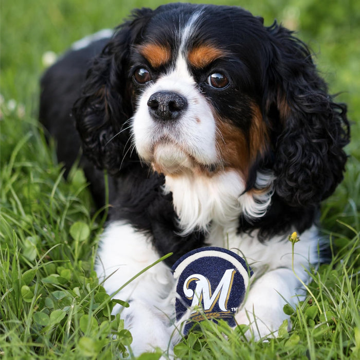 Milwaukee Brewers Tennis Balls - 2 pack