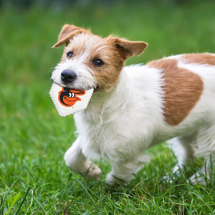 Baltimore Orioles Hard Nylon Home Plate Chew Toy