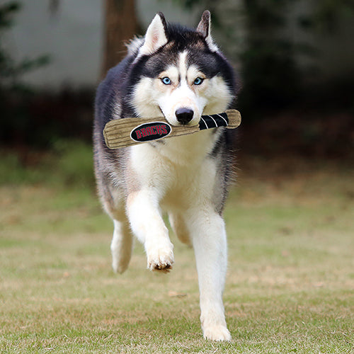 AZ Diamondbacks (Dbacks) Baseball Bat Toys