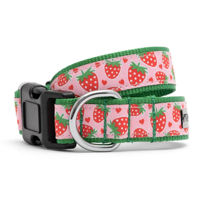 Strawberries Collection Dog Collar or Leads