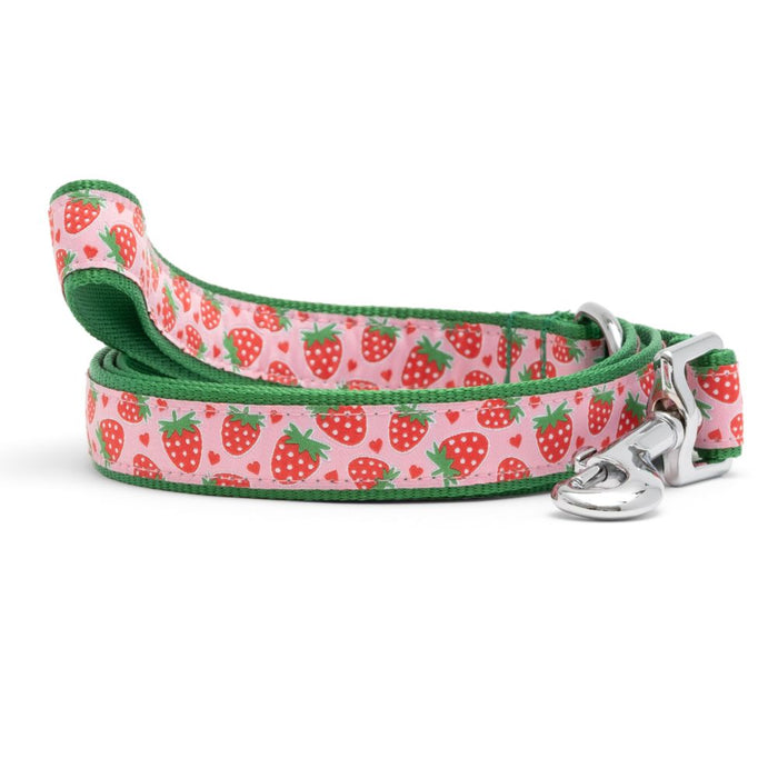 Strawberries Collection Dog Collar or Leads