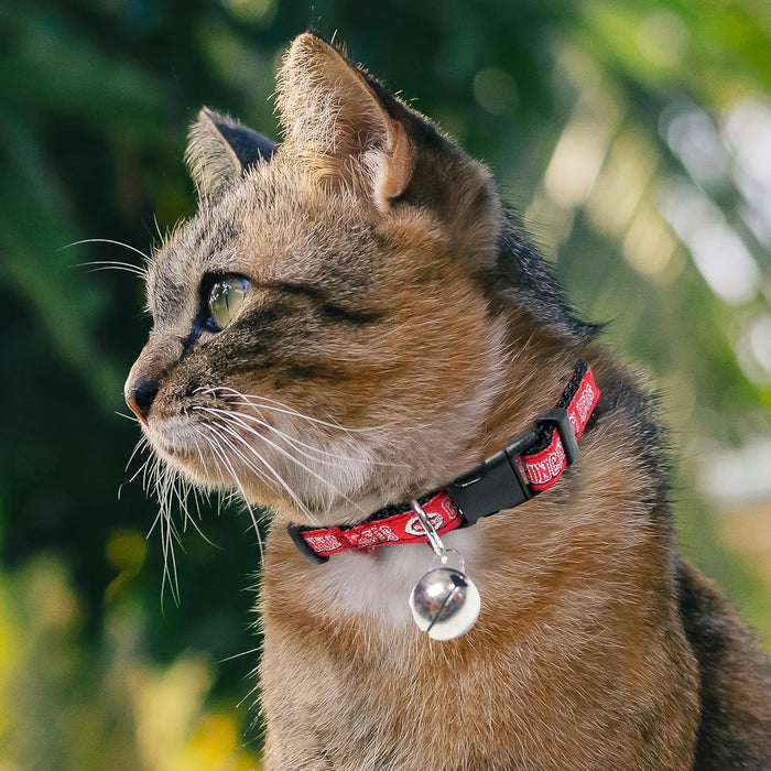Cincinnati Reds Cat Collar