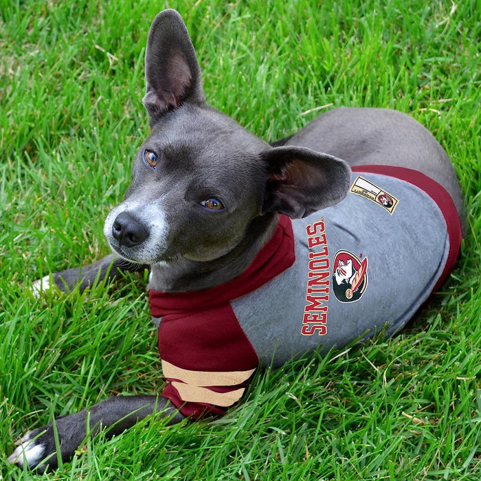 FL State Seminoles Lightweight Pet Hoodie