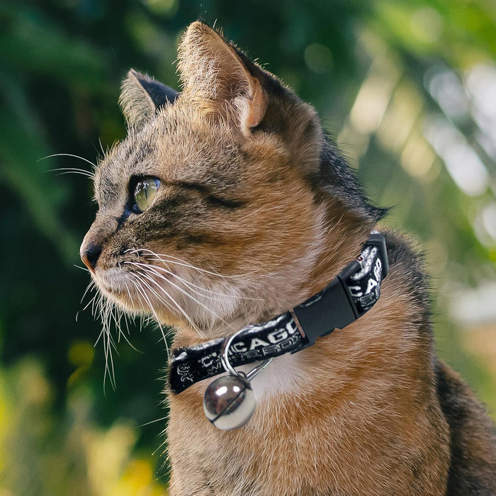 Chicago White Sox Cat Collar