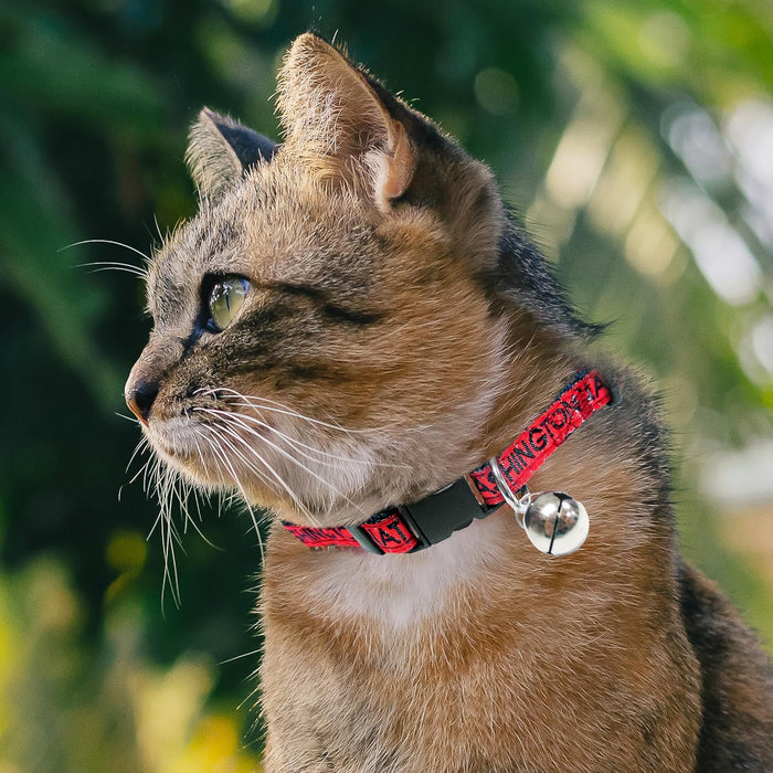 Washington Nationals Cat Collar