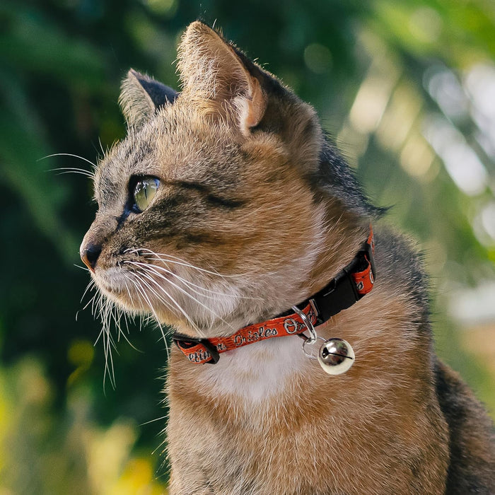 Baltimore Orioles Cat Collar