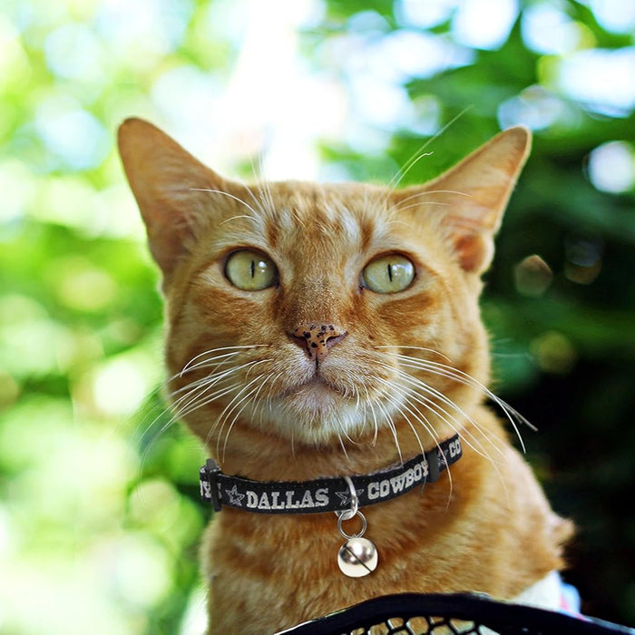 Dallas Cowboys Cat Collar