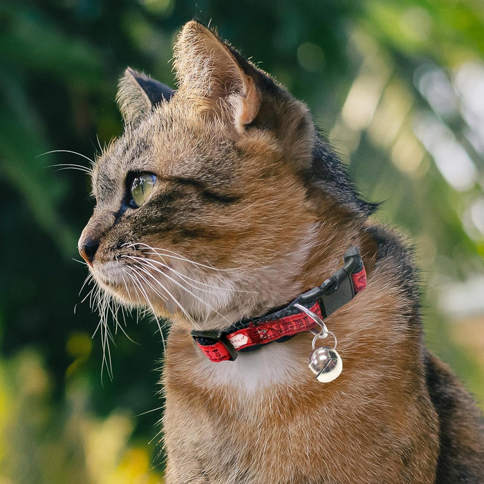 Los Angeles Angels Cat Satin Collar