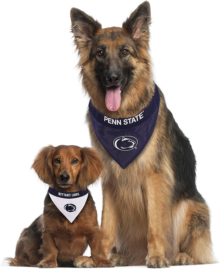 Penn State Nittany Lions Reversible Slide-On Bandana