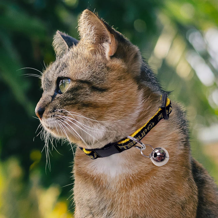 Pittsburgh Pirates Cat Collar