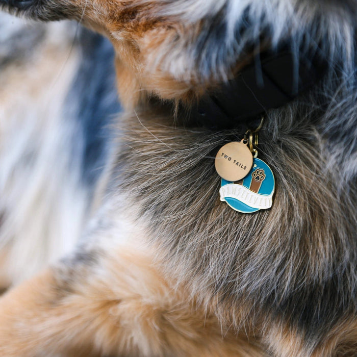 Pawsitivity Pet ID Tag