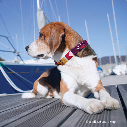 ATWCW Antigua - Mayan Artisan-Handmade Dog Collars