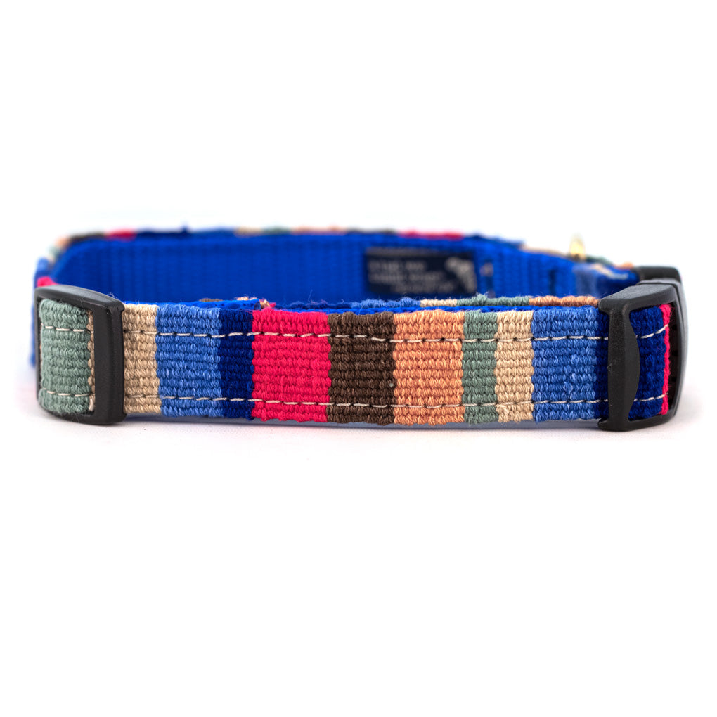 A Tail We Could Wag Martingale Style Dog Collar - at The Beach