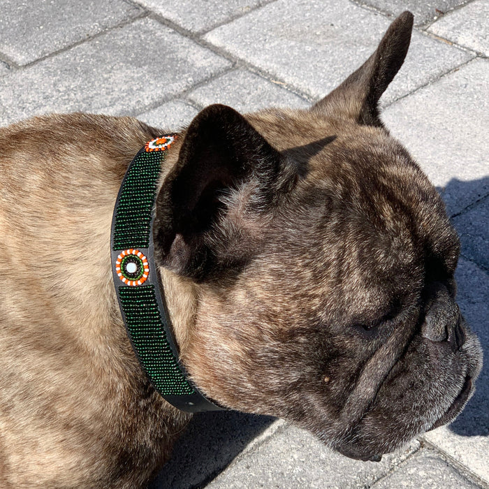 TKC The Babington Collection Dog Collars