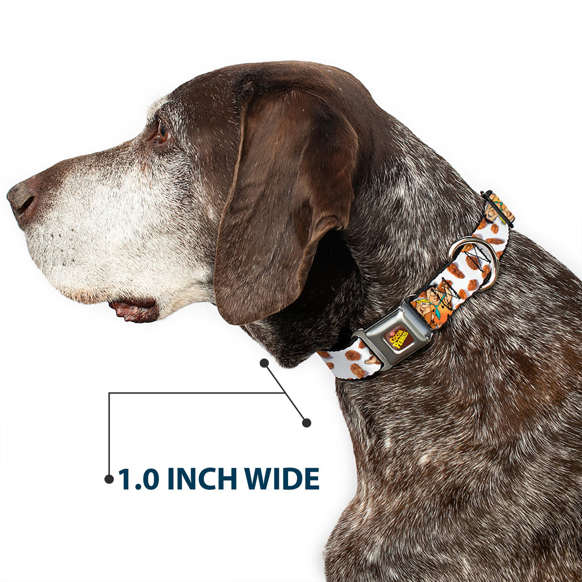 POST COCOA PEBBLES Logo Full Color Brown/Yellows Seatbelt Buckle Collar - Cocoa Pebbles Fred Flintstone and Barney Rubble Hugging Pose and Cereal Pebbles Scattered White/Browns