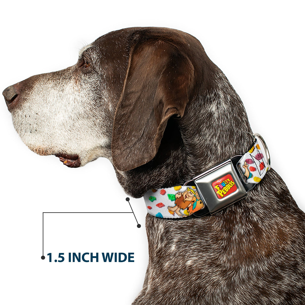 POST FRUITY PEBBLES Logo Full Color Red/Multi Color Seatbelt Buckle Collar - Fruity Pebbles Fred Flintstone and Barney Rubble Hugging Pose and Cereal Pebbles Scattered White/Multi Color