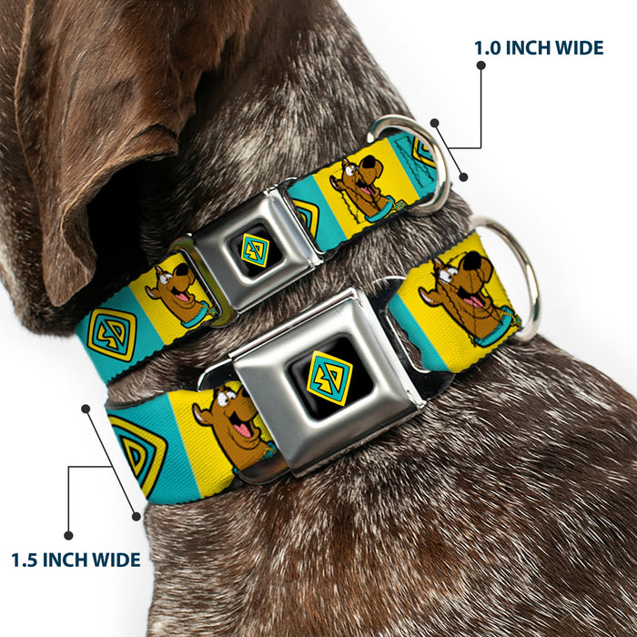 SD Dog Tag Full Color Black/Yellow/Blue Seatbelt Buckle Collar - Scooby Doo Pose and Dog Tag Blocks Yellow/Blue