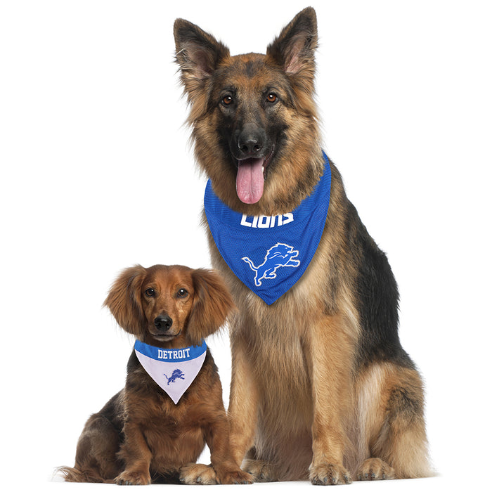 Detroit Lions Reversible Slide-On Bandana