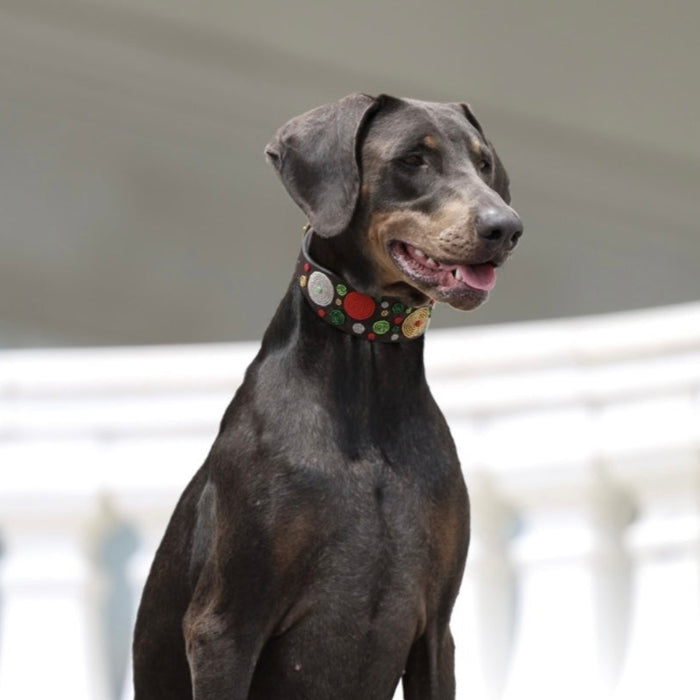 TKC Exclusive Holiday Dots Beaded Dog Collar