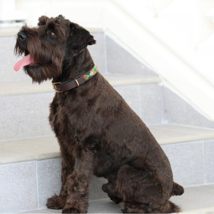 TKC Exclusive Holiday Argyle Beaded Dog Collar