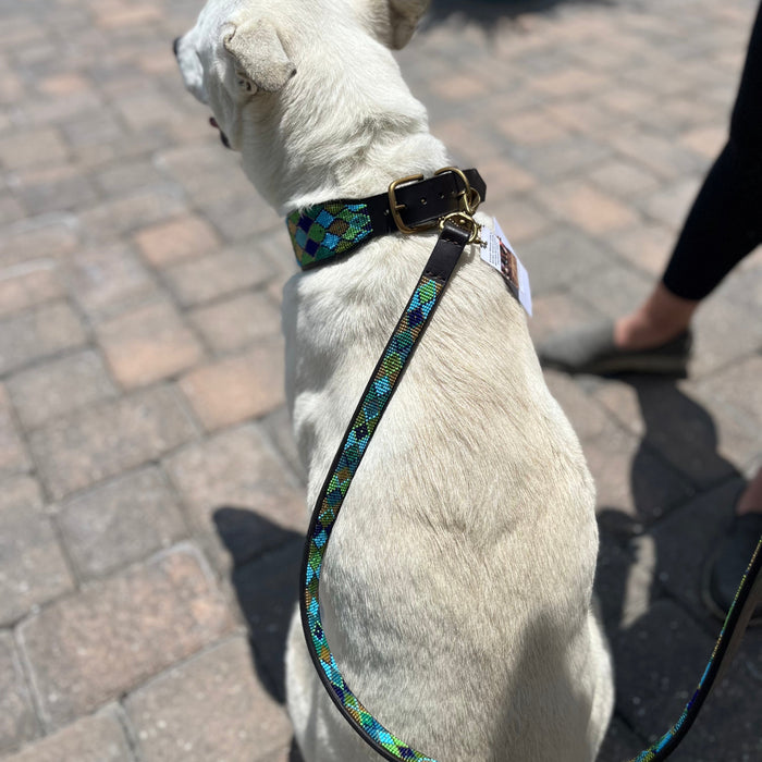 TKC Peacock Argyle Beaded Dog Collar