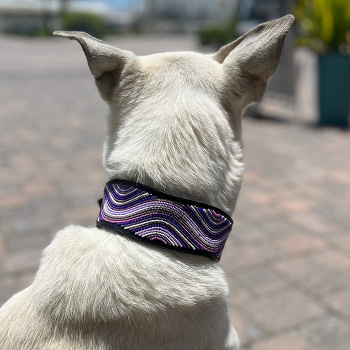 TKC The Purple Wave Beaded Dog Collar