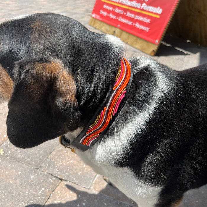 TKC The Groove Beaded Dog Collar
