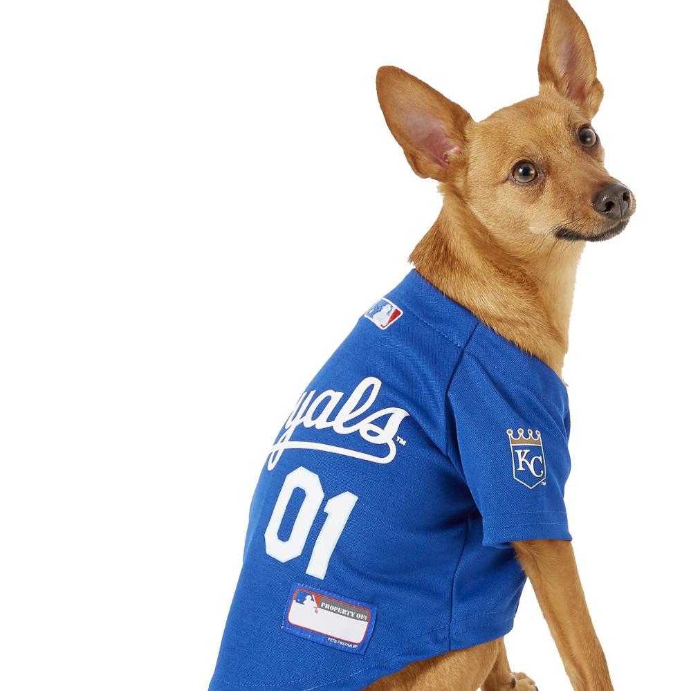 MLB Kansas City Royals Dog T-Shirt, Medium. - Licensed Shirt for