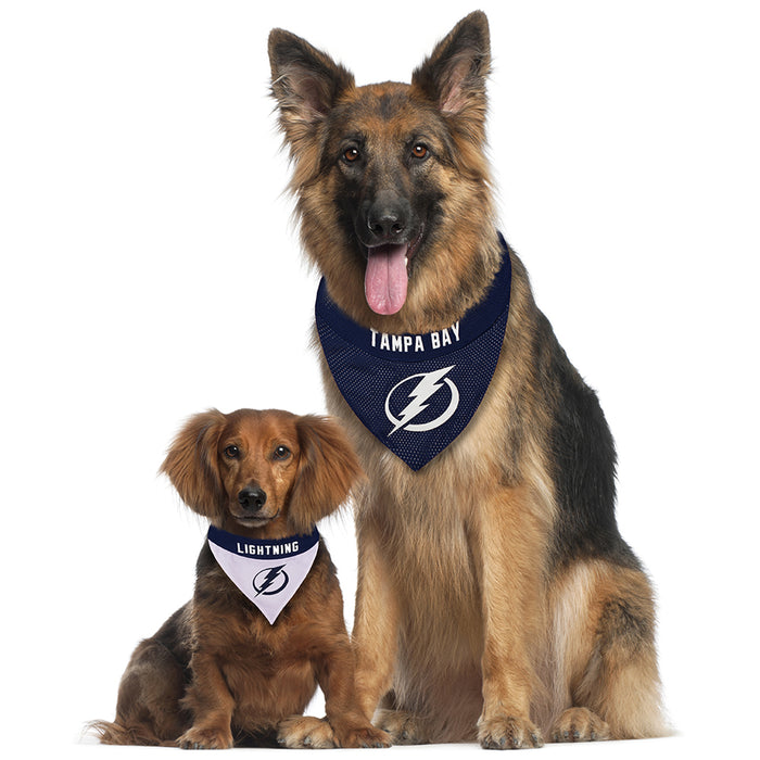 Tampa Bay Lightning Reversible Slide-On Bandana
