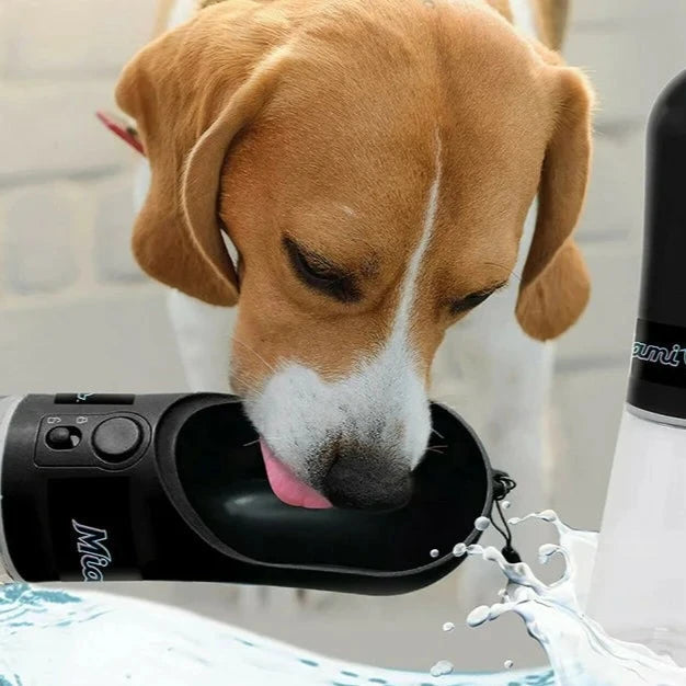 Milwaukee Brewers Pet Water Bottle