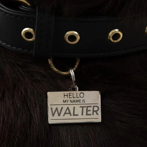 Hello My Name is Pet ID Tag - Silver