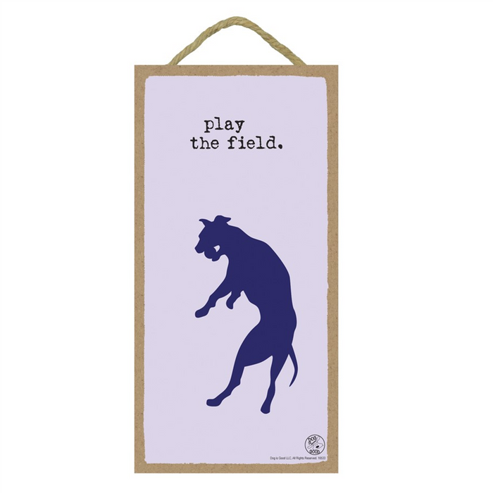 Play the Field Wood Plaque