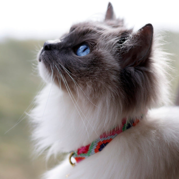 ATWCW Retro - Mayan Artisan-Handmade Cat Collars