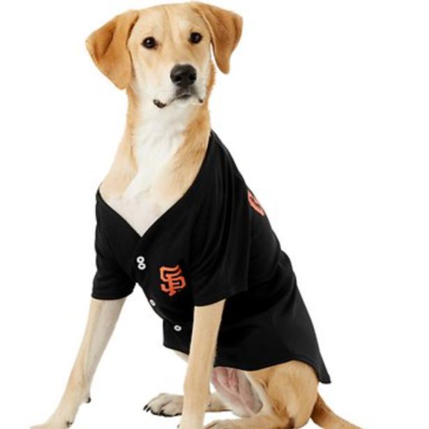 dog sf giants jersey