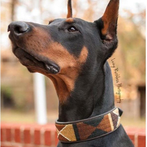 TKC Earth Beaded Dog Collar