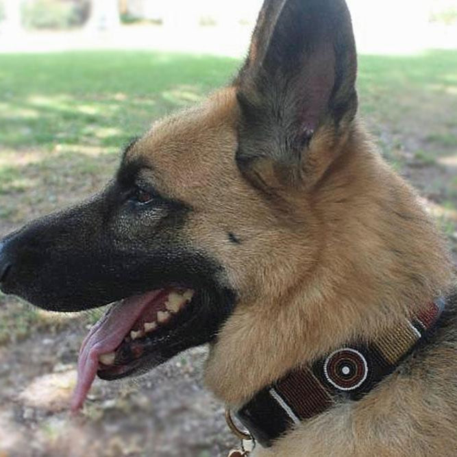 TKC Topi Beaded Dog Collar