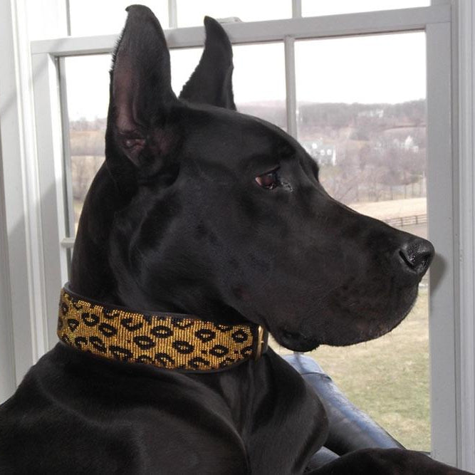 TKC Leopard Beaded Dog Collar