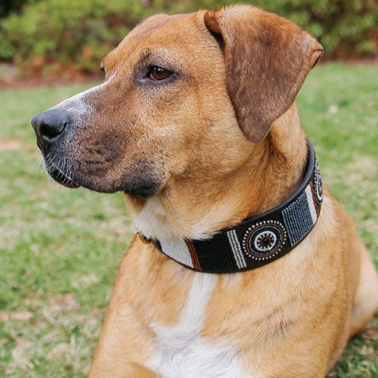 TKC Oryx Beaded Dog Collar