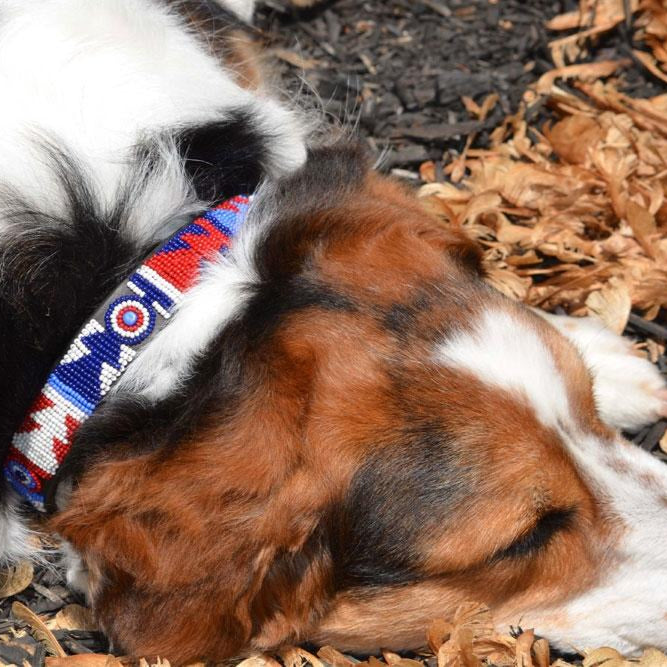 TKC Red White Blue Beaded Dog Collar