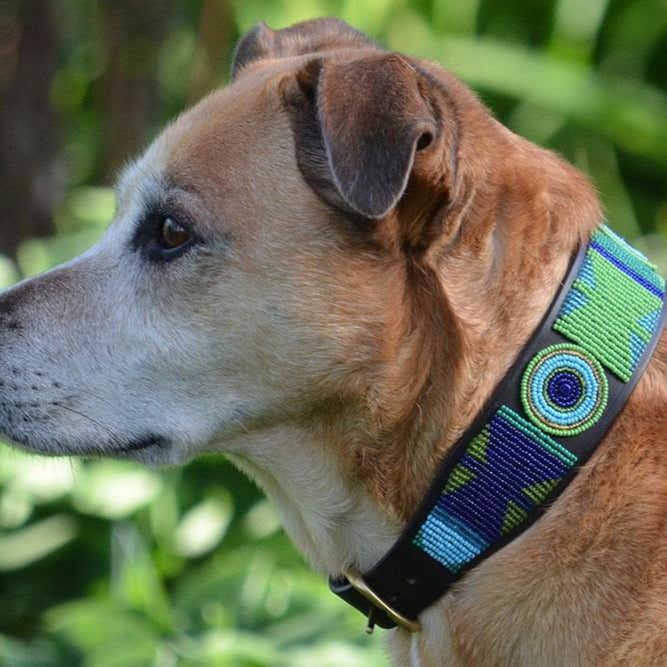 TKC Peacock Beaded Dog Collar