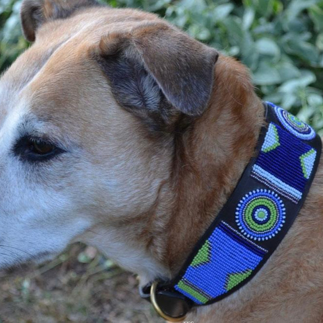 TKC Passion Flower Beaded Dog Collar