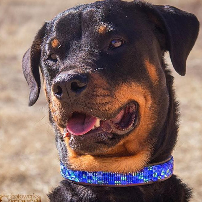 TKC Moonbeam Beaded Dog Collar