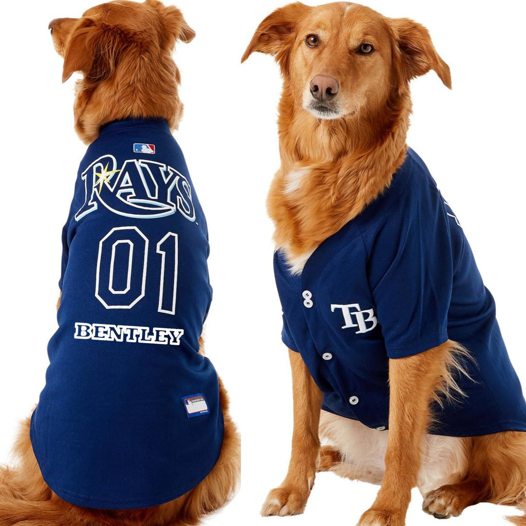 Pets First Tampa Bay Rays Blue Dog Collar, Extra Large at