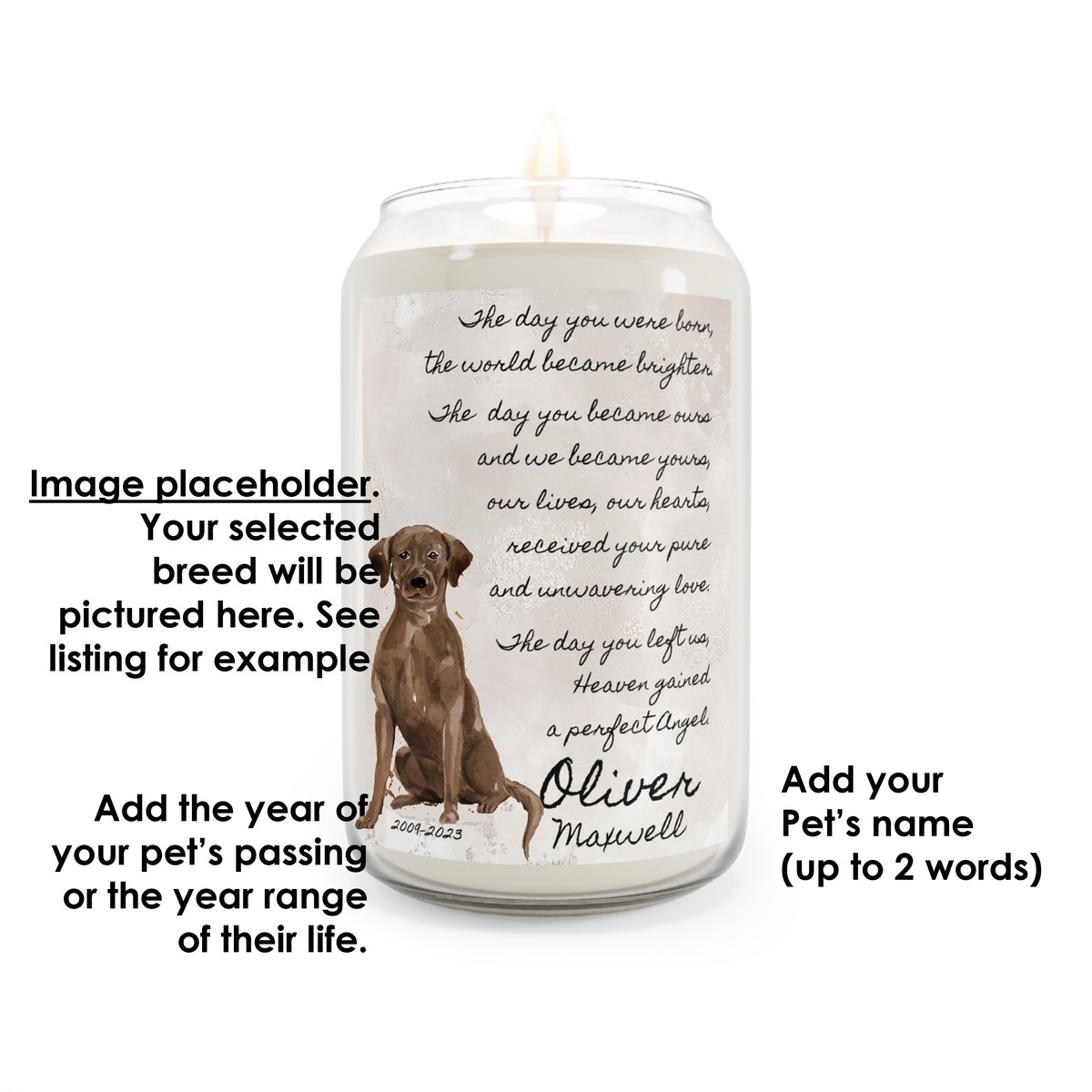 The Day Staffordshire Bull Terrier Brown Pet Memorial Scented Candle, 13.75oz