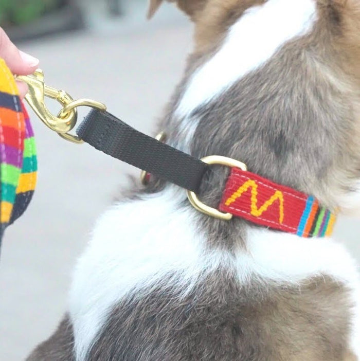 ATWCW Rasta - Mayan Artisan-Handmade Martingale Collars