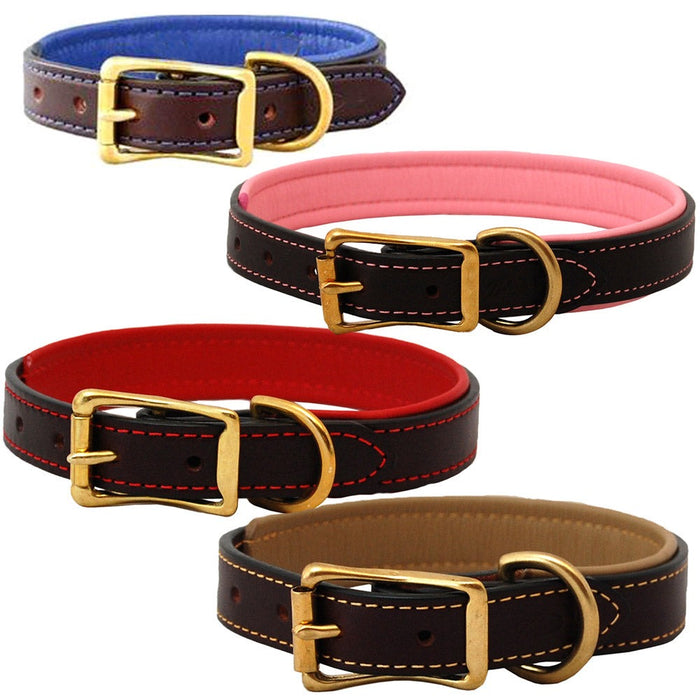 Burgundy Padded Leather Collars with Accent Colors