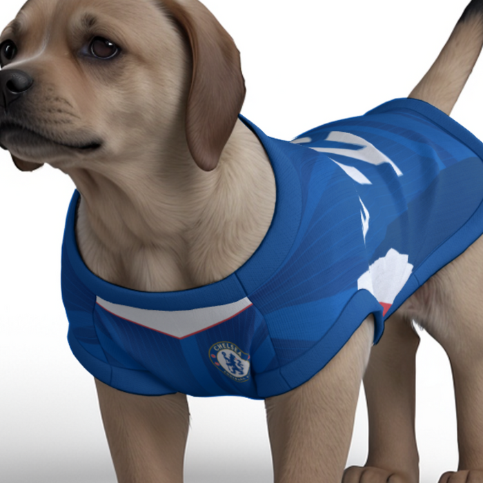 Chelsea FC 25/26 Home Kit Inspired Personalized Tank