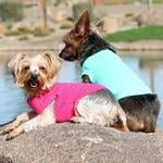 Big Dog Teal All-Cotton Sleeveless Shirt