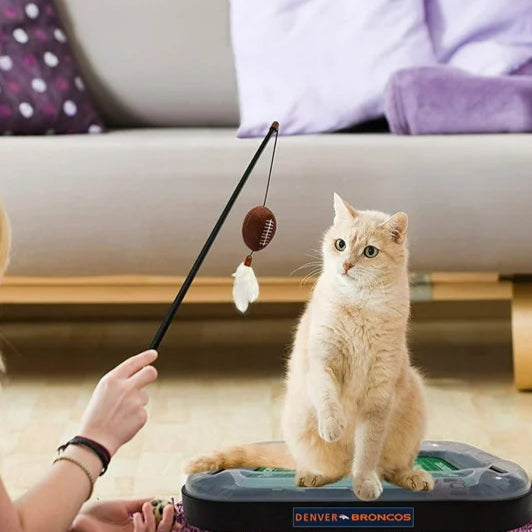 Denver Broncos Football Cat Scratcher Toy